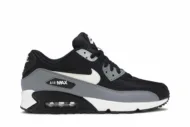 Air Max 90 Essential 'Cool Grey' AJ1285-018