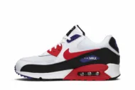 Air Max 90 Essential 'Raptors' AJ1285-106 - Image 3
