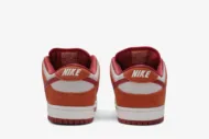 Dunk Low Pro SB 'Dark Russet' BQ6817-202 - Image 6