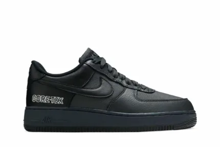 Nike Air Force 1 GTX 'Anthracite Grey' CT2858-001