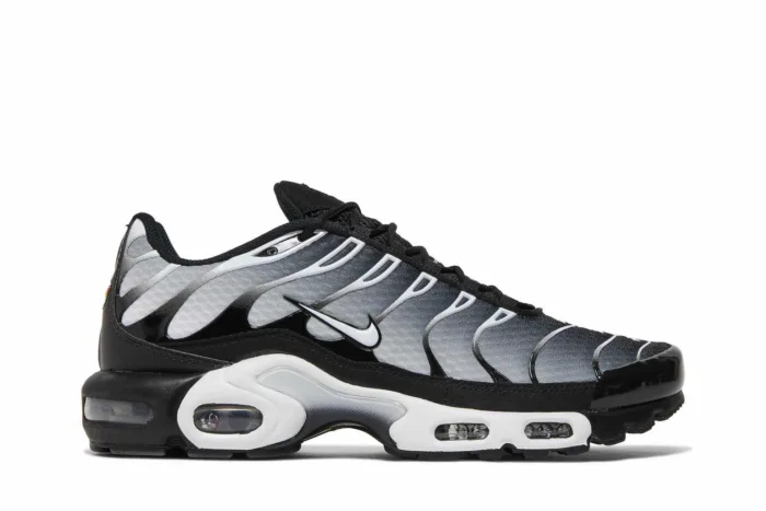 Nike Air Max Plus 'Black Metallic Silver' DM0032-003 - Image 1
