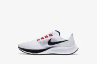 Nike Air Zoom Pegasus 37 'White Concord' DD8348-100