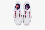 Nike Air Zoom Pegasus 37 'White Concord' DD8348-100 - Image 4