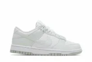 Nike Dunk Low Next Nature 'White Mint' DN1431-102