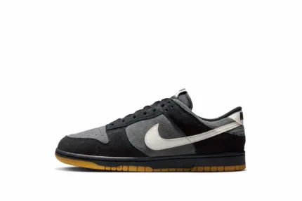 Nike Dunk Low Retro SE 'Black Anthracite Gum' HQ1931-001