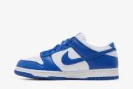 Nike Dunk Low Retro SP 'Kentucky' CU1726-100 - Image 3