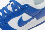 Nike Dunk Low Retro SP 'Kentucky' CU1726-100 - Image 9