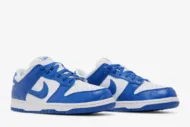 Nike Dunk Low Retro SP 'Kentucky' CU1726-100 - Image 8