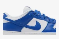 Nike Dunk Low Retro SP 'Kentucky' CU1726-100 - Image 2