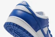 Nike Dunk Low Retro SP 'Kentucky' CU1726-100 - Image 10