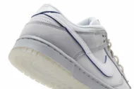 Nike Dunk Low 'Wolf Grey Pure Platinum' DX3722-001 - Image 10