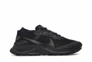 Nike Pegasus Trail 3 GTX 'Triple Black' DC8793-001