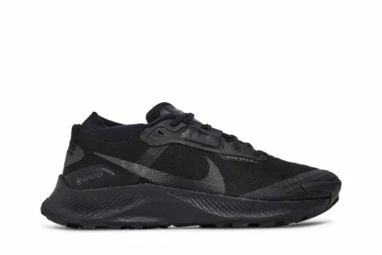 Nike Pegasus Trail 3 GTX 'Triple Black' DC8793-001