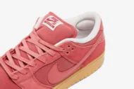 Nike SB Dunk Low 'Adobe' DV5429-600 - Image 9