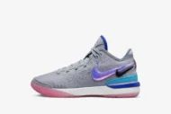 Nike Zoom LeBron NXXT Gen 'Wolf Grey' DR8788-002