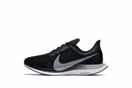 Zoom Pegasus Turbo 'Black' AJ4115-001